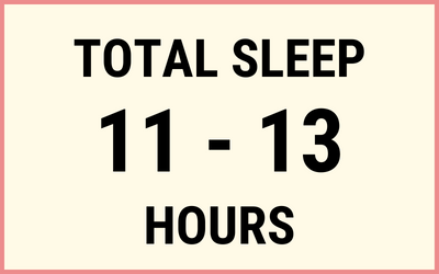 12 month total sleep