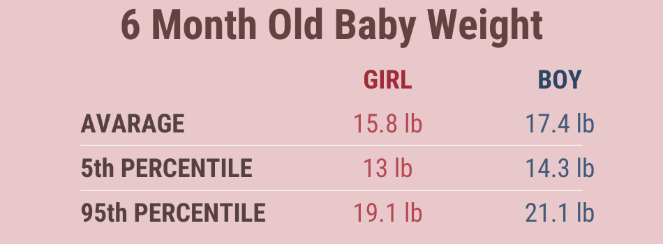6 Month Old Baby Weight