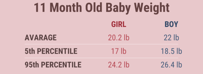 Average Weight of 11 Month Old Baby - Raising Tot