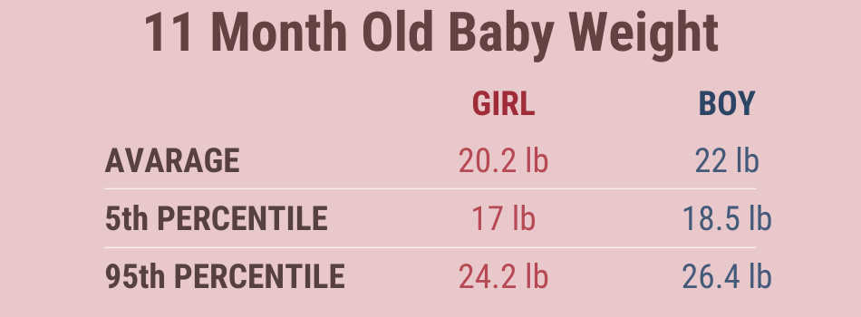 11 Month Old Baby Weight