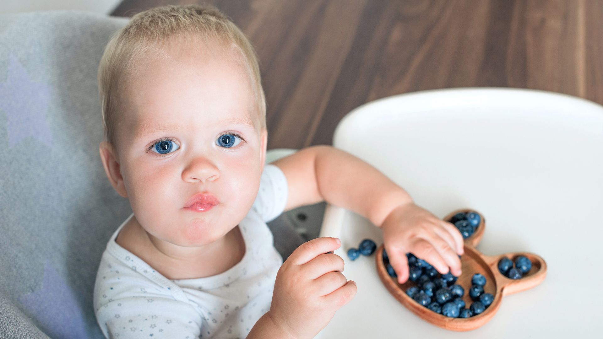 Baby sitting in a high chair eating blueberries from a divided plate
