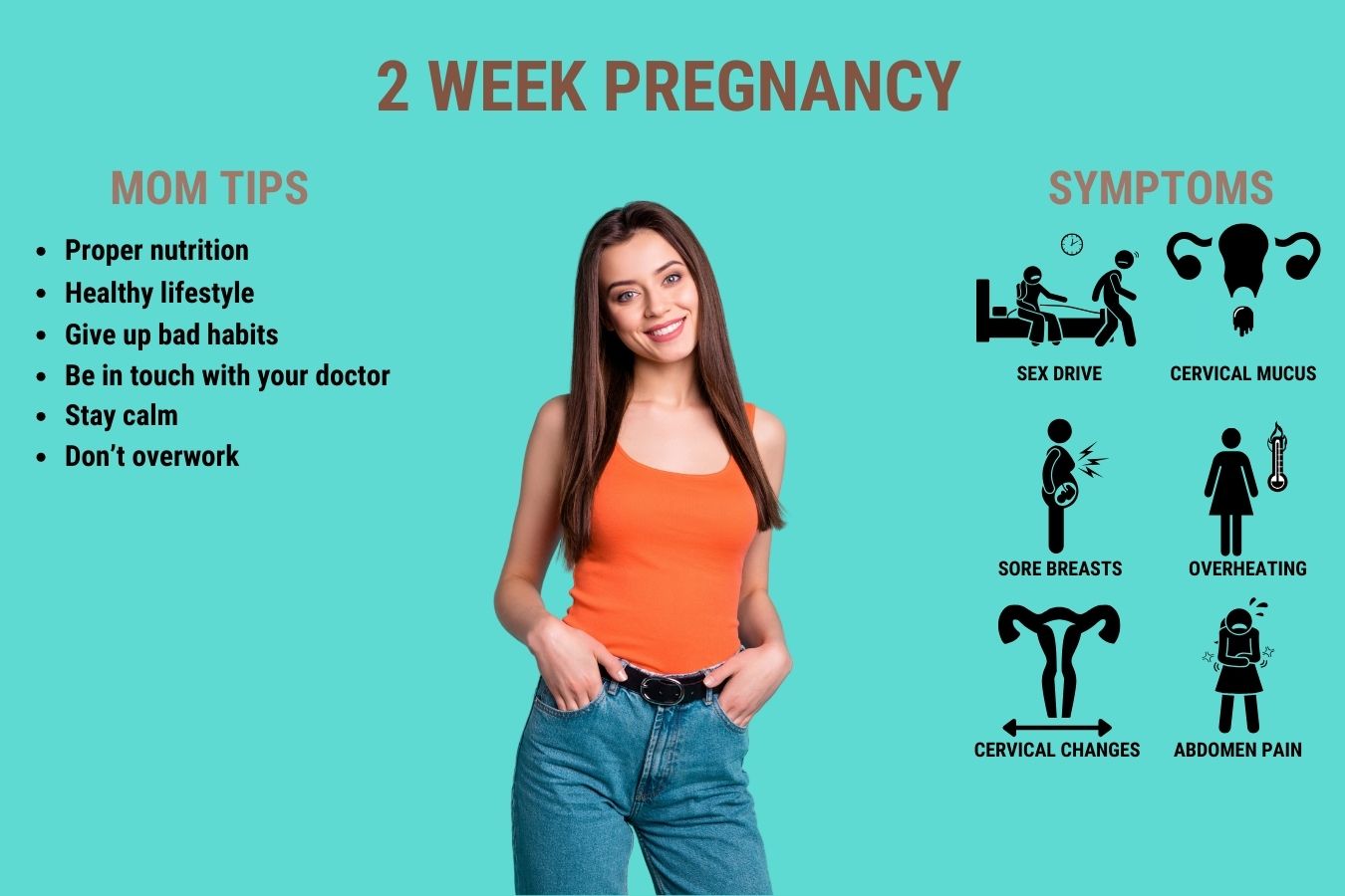 2 week pregnancy 2 week pregnancy