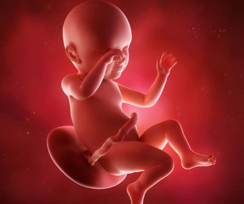 how baby looks in 3d during 39th week of pregnancy