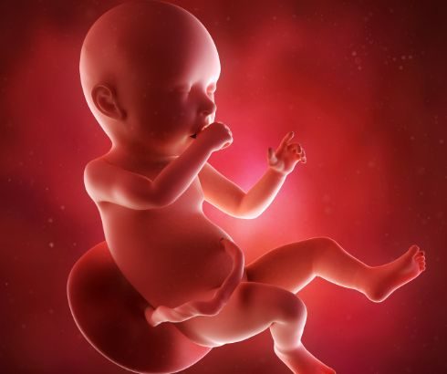 how baby looks in 3d during 40th week of pregnancy